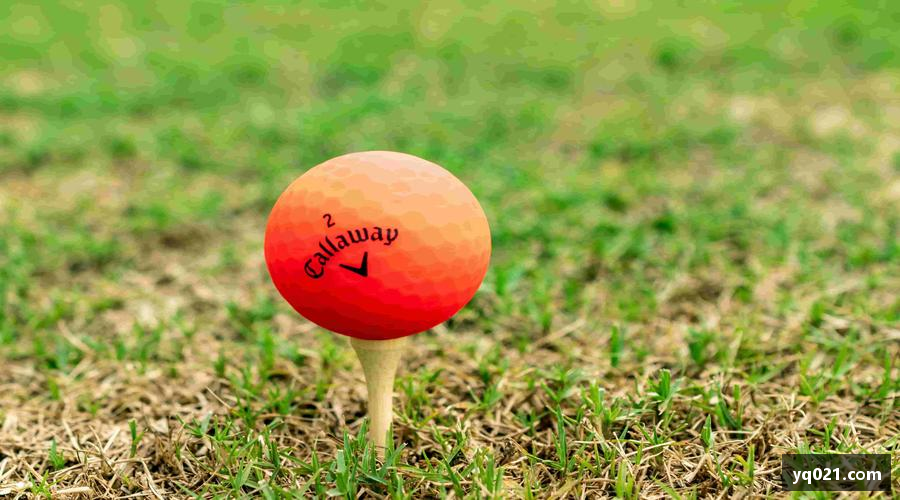 体育直播📱高清直播直击，让热爱零距离！